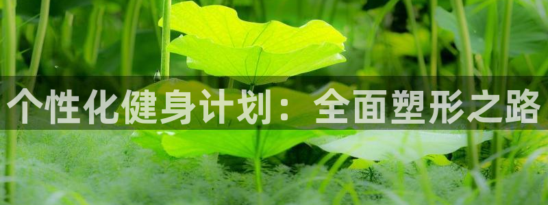 意昂2招商