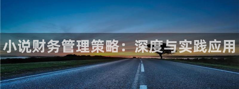 无敌天命 八一中文网：小说财务管理策略：深度与实践应用